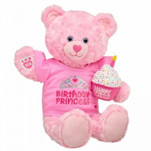 Build A Bear Birthday Princess Deluxe Gift Set Regali di compleanno | RUFAO9834