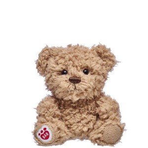 Build A Bear Compagni Timeless Teddy Compagni | SRZMN0845