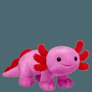 Build A Bear Love You Alotl Axolotl San Valentino | QBRZH6810