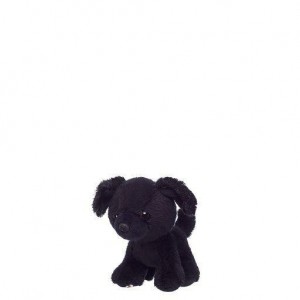 Build A Bear Promise Pets Mini Black Puppy Compagni | LDEHQ3406
