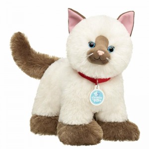 Build A Bear Promise Pets Ragdoll Kitten Animali di peluche Promise Pets | UWNHK6327